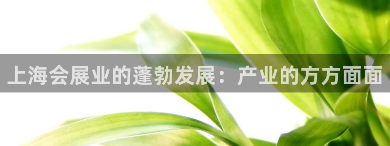 果博平台真实吗：上海会展业的蓬勃发展：产业的方方面面