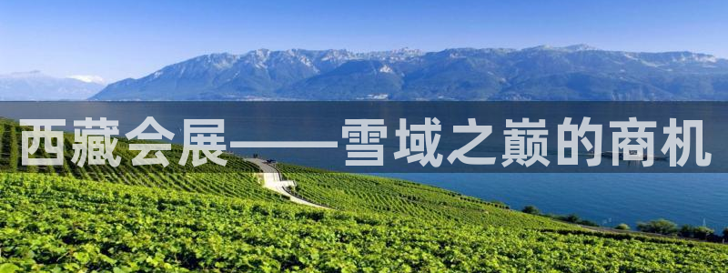 果博平台真实吗安全吗可信吗：西藏会展——雪域之巅的商机