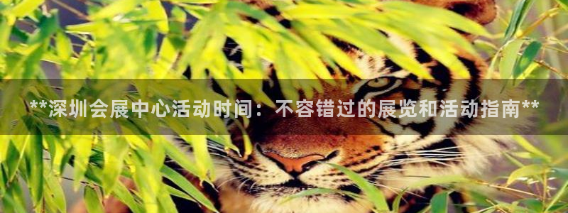 果博官方网：**深圳会展中心活动时间：不容错过的展览和活动指南**