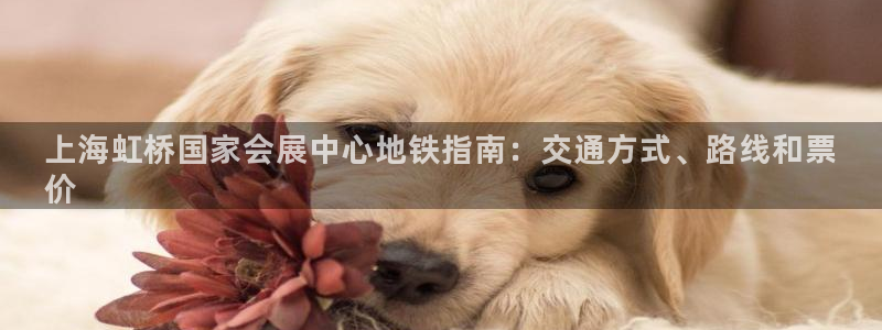 果搏代理：上海虹桥国家会展中心地铁指南：交通方式、路线和票
价