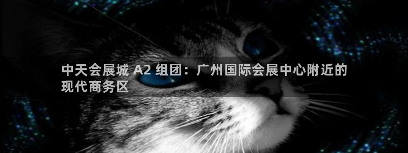 果博上分电话：中天会展城 A2 组团：广州国际会展中心附近的
现代商务区