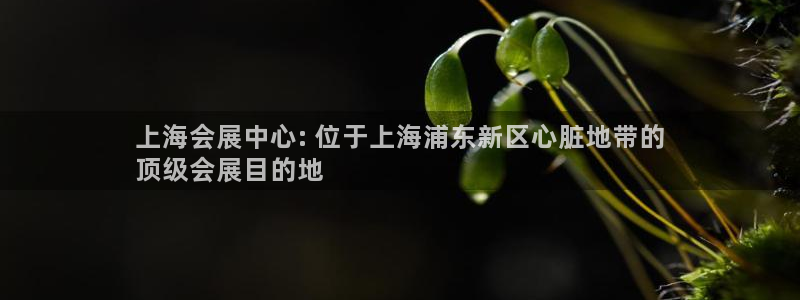 果博公司会员账号开户：上海会展中心: 位于上海浦东新区心脏地带的
顶级会展目的地