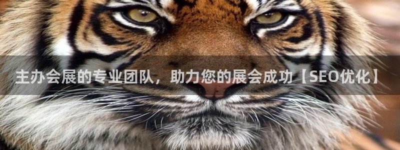 果博官方：主办会展的专业团队，助力您的展会成功【SEO优化】