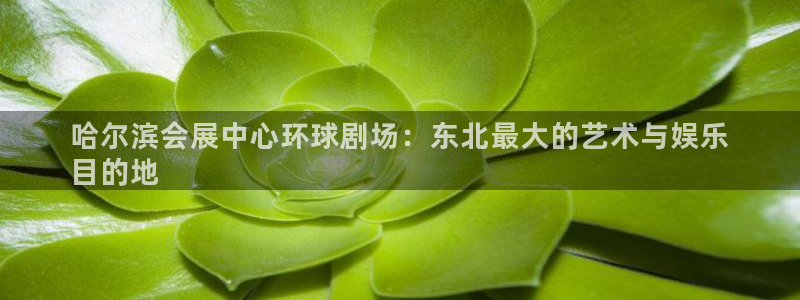 果博东官方网站怎么下载：哈尔滨会展中心环球剧场：东北最大的艺术与娱乐
目的地