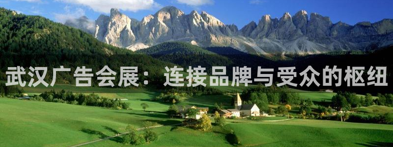 果博平台真实吗安全吗是真的吗：武汉广告会