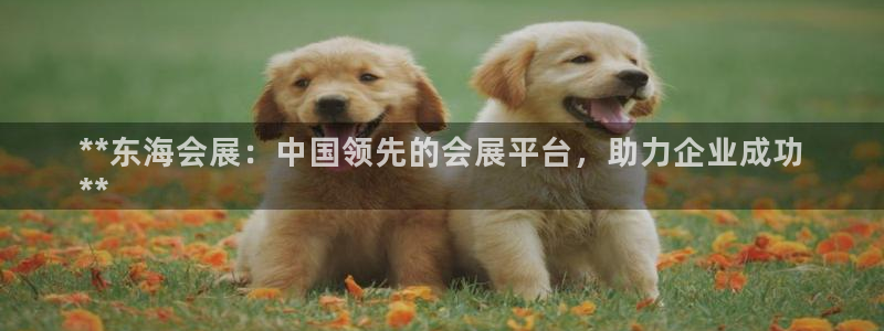 果博官网：**东海会展：中国领先的会展平
