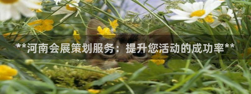 果博注册平台：**河南会展策划服务：提升您活动的成功率**