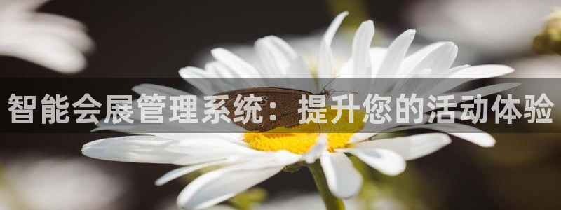 果博注册平台怎么注册：智能会展管理系统：提升您的活动体验