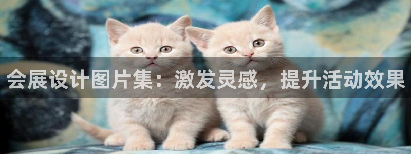 果博公司会员怎么开户：会展设计图片集：激发灵感，提升活动效果