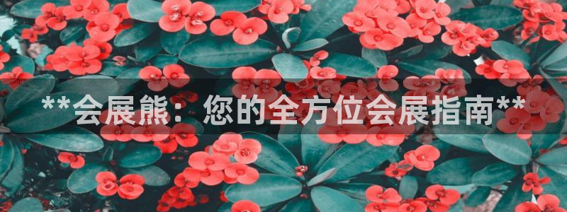 果博代理怎么注册：**会展熊：您的全方位会展指南**