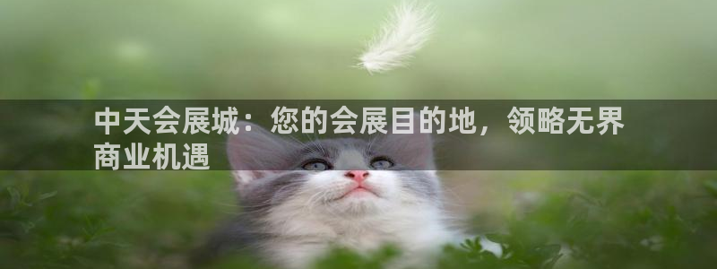 果博公司会员怎么开户：中天会展城：您的会展目的地，领略无界
商业机遇