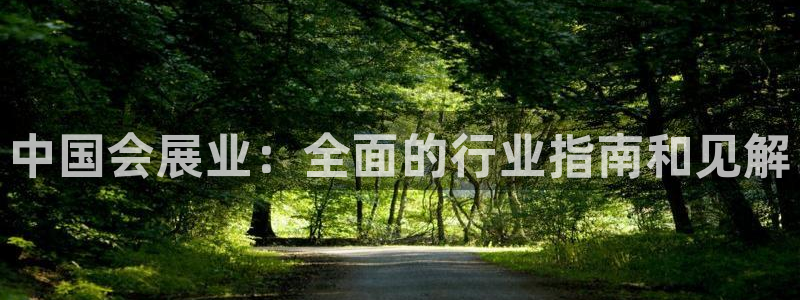果博公司客服怎么样：中国会展业：全面的行业指南和见解