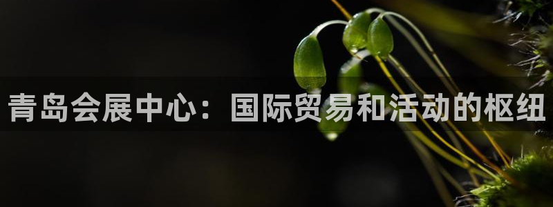 果博官网客服：青岛会展中心：国际贸易和活动的枢纽