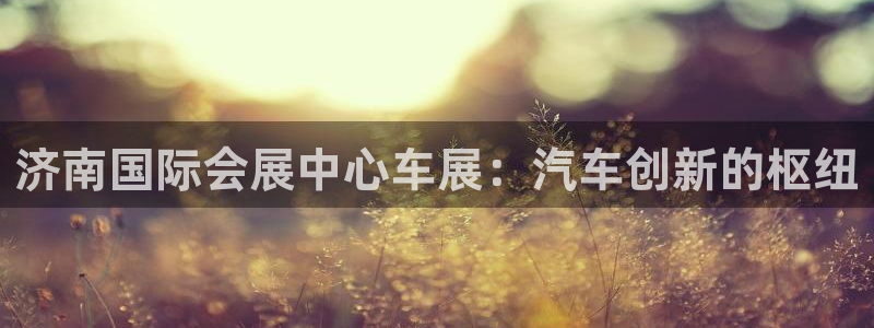 果博注册平台怎么注册不了：济南国际会展中心车展：汽车创新的枢纽