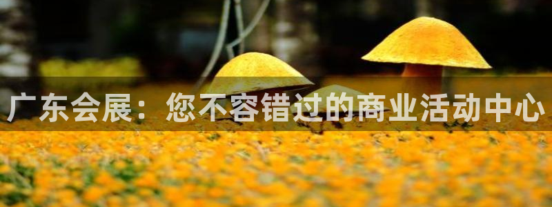果博网站二维码：广东会展：您不容错过的商业活动中心