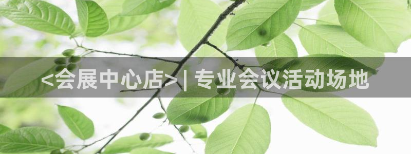果博注册会员怎么注销：<会展中心店> | 专业会议活动场地
