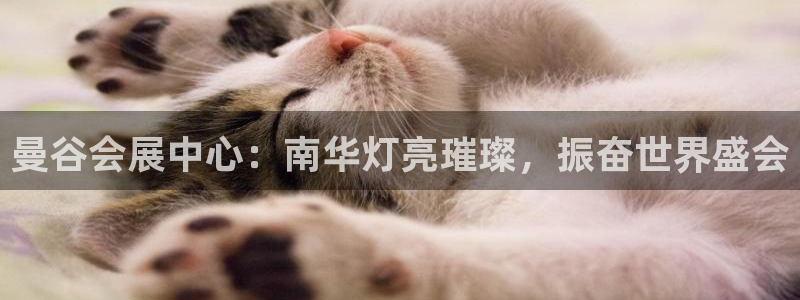 果博注册会员多少钱：曼谷会展中心：南华灯亮璀璨，振奋世界盛会