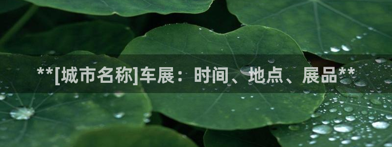果博公司注册：**[城市名称]车展：时间、地点、展品**