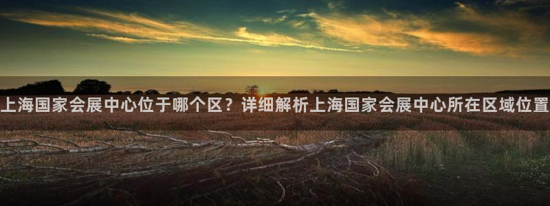 果博注册会员多少钱：上海国家会展中心位于哪个区？详细解析上海国家会展中心所在区域位置