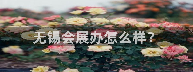 果博东官方网站怎么下载：无锡会展办怎么样