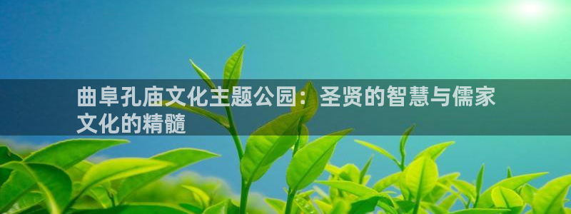 果博旗舰厅：曲阜孔庙文化主题公园：圣贤的智慧与儒家
文化的精髓