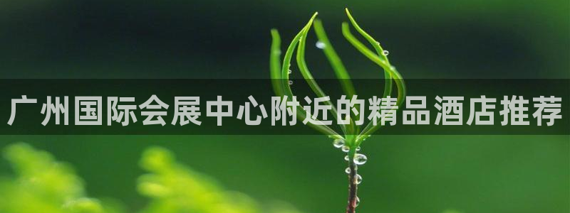 果博公司联系方式：广州国际会展中心附近的精品酒店推荐
