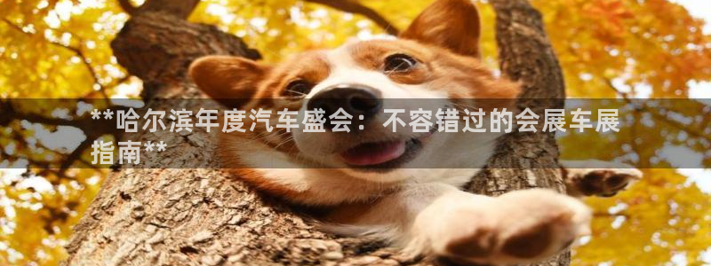 果博网站二维码