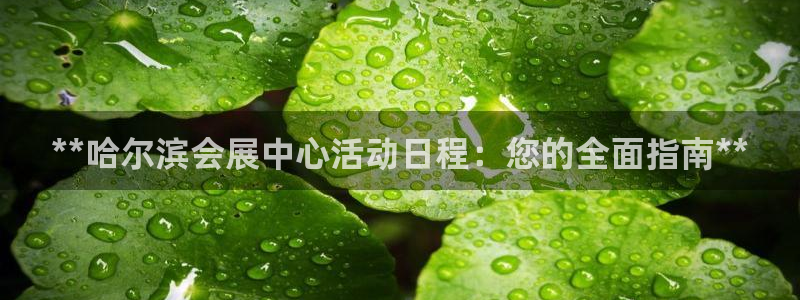 果博官网客服电话号码是多少：**哈尔滨会展中心活动日程：您的全面指南**