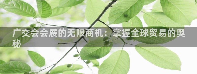 果博公司在线客服：广交会会展的无限商机：