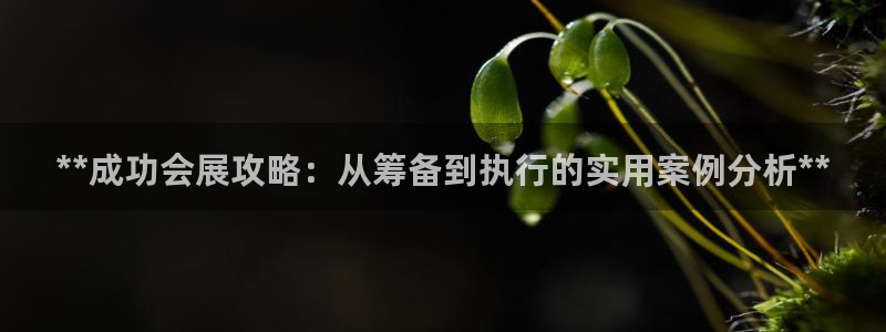 果博注册客服电话：**成功会展攻略：从筹备到执行的实用案例分析**