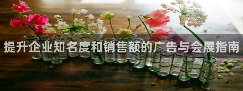 果博公司客服怎么样：提升企业知名度和销售额的广告与会展指南