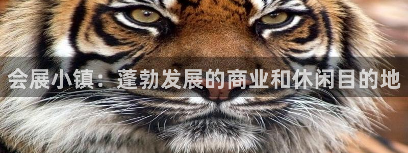 果博怎么注册账号和密码：会展小镇：蓬勃发展的商业和休闲目的地
