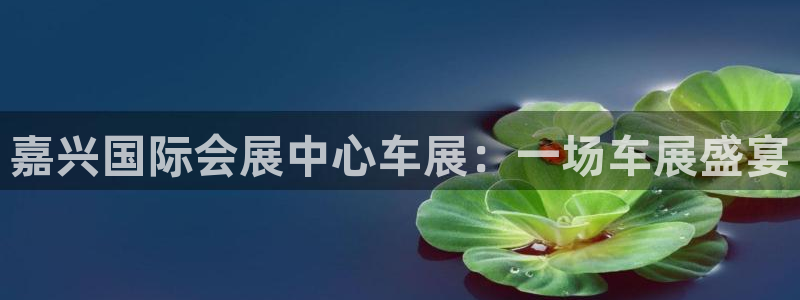 果博手机版官方下载