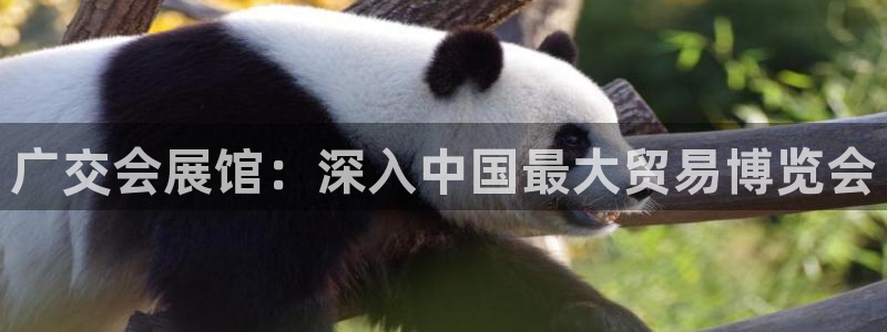 果博注册客服电话是多少：广交会展馆：深入中国最大贸易博览会