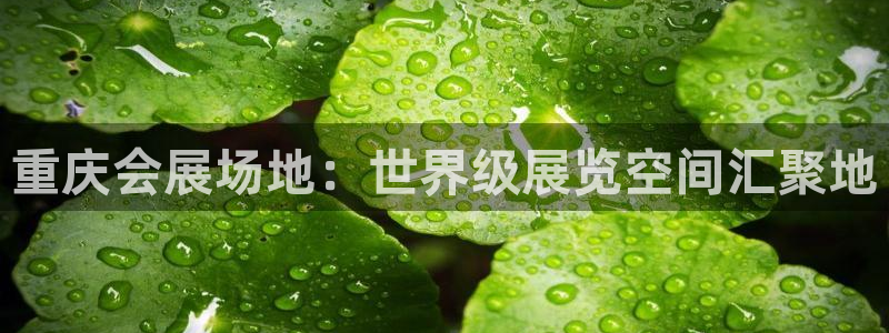 果博手机下载：重庆会展场地：世界级展览空间汇聚地