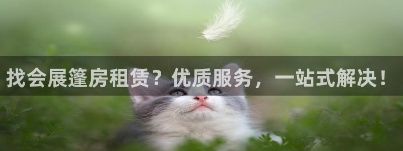 果博平台真实吗知乎怎么样：找会展篷房租赁？优质服务，一站式解决！