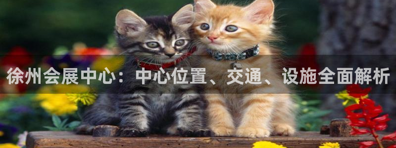 果博注册平台：徐州会展中心：中心位置、交通、设施全面解析
