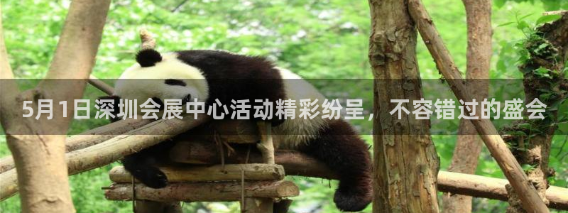 果博真人：5月1日深圳会展中心活动精彩纷呈，不容错