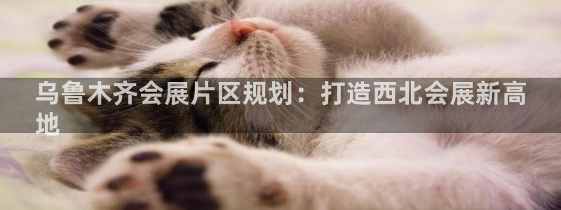 果博公司会员注册账号开户：乌鲁木齐会展片区规划：打造西北会展新高
地