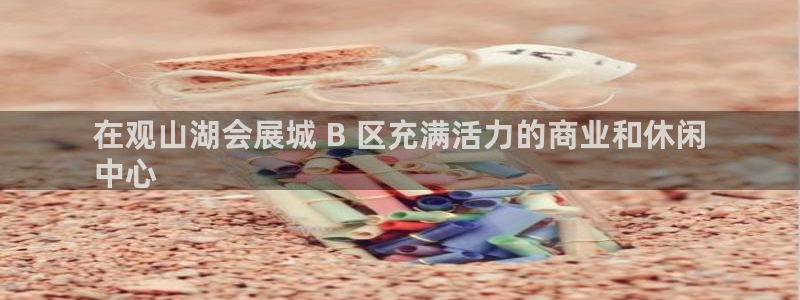 果博公司客服微信怎么加：在观山湖会展城 B 区充满活力的商业和休闲
中心