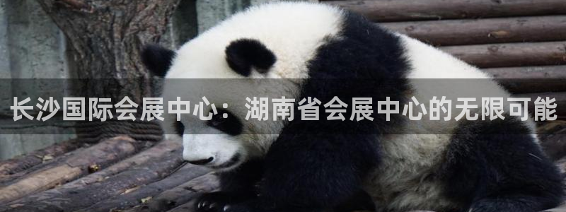 果博平台真实吗知乎推荐：长沙国际会展中心：湖南省会展中心的无限可能