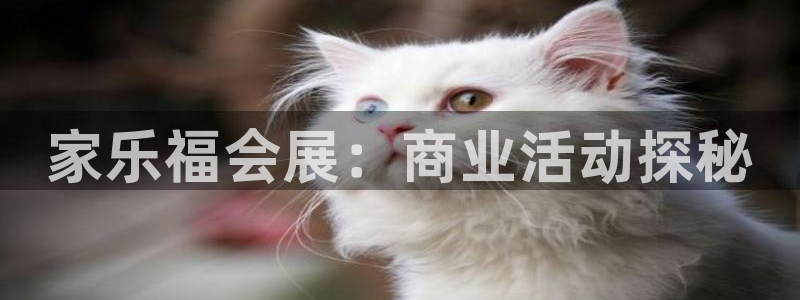 果博官网客服电话号码：家乐福会展：商业活动探秘