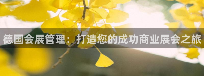 果博平台真实吗安全吗可信吗是真的吗：德国会展管理：打造您的成功商业展会之旅