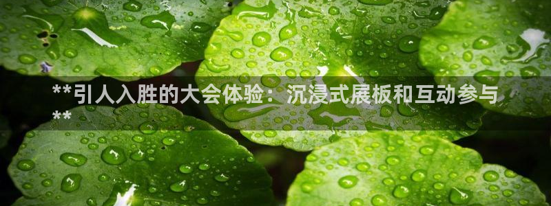 果博官方：**引人入胜的大会体验：沉浸式展板和互动参与
**