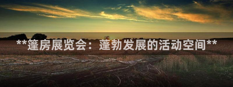 果博官方：**篷房展览会：蓬勃发展的活动空间**