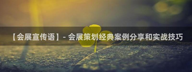 果博公司网站：【会展宣传语】- 会展策划经典案例分享和实战技巧