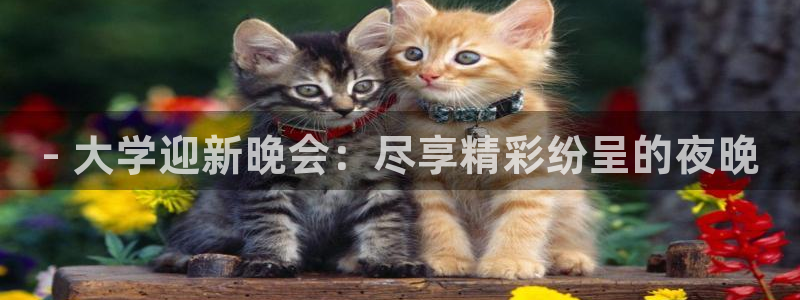 果博公司客服：- 大学迎新晚会：尽享精彩纷呈的夜晚