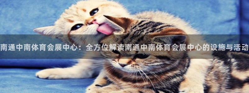 果博公司开户：南通中南体育会展中心：全方