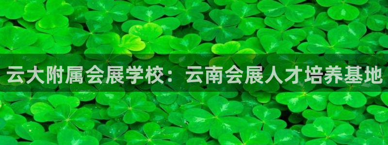 果博手机下载网址：云大附属会展学校：云南会展人才培养基地