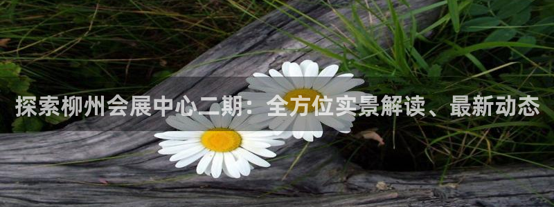 果博注册平台怎么注册账号：探索柳州会展中心二期：全方位实景解读、最新动态